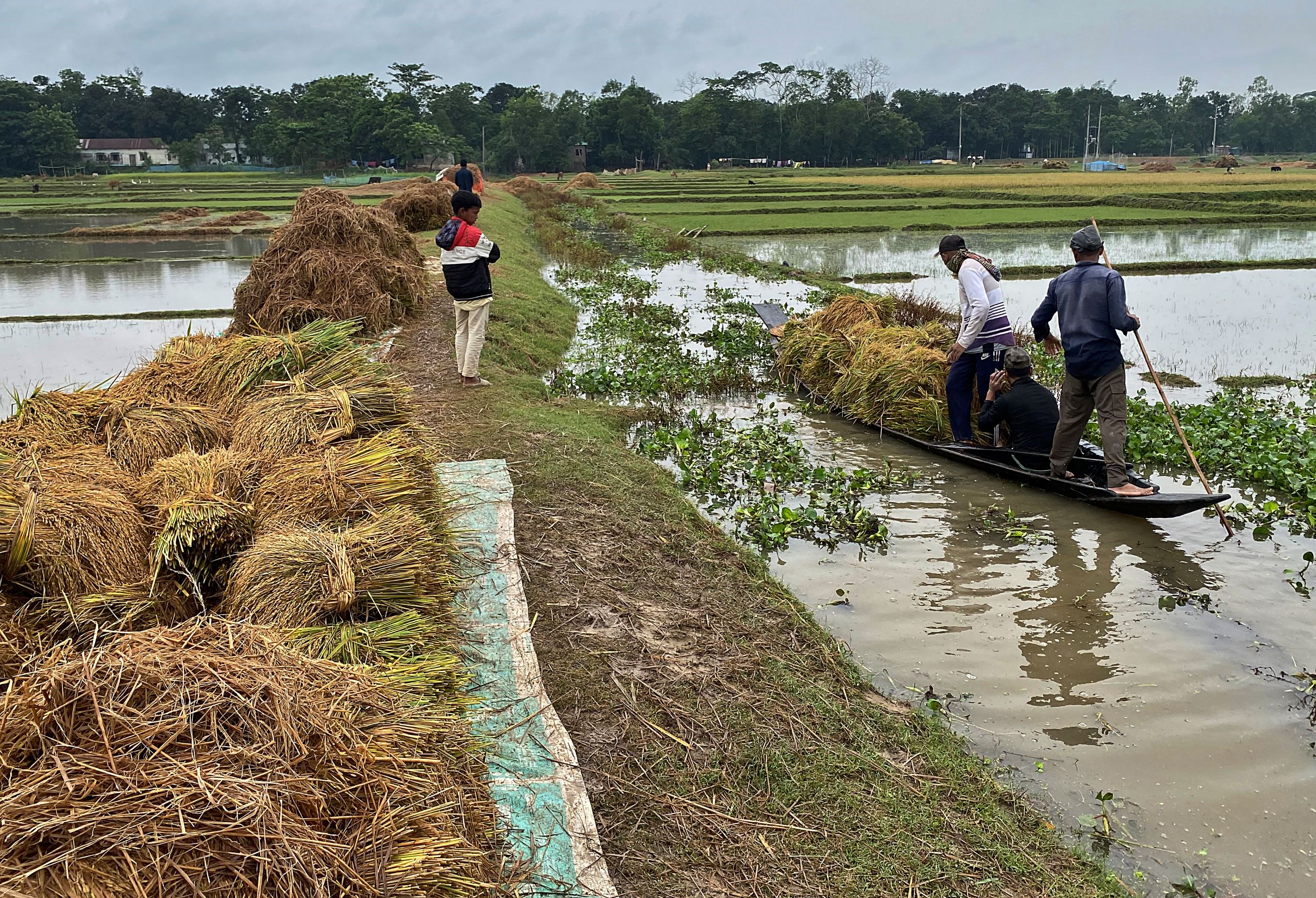 Wetland landscape related story thumbnail